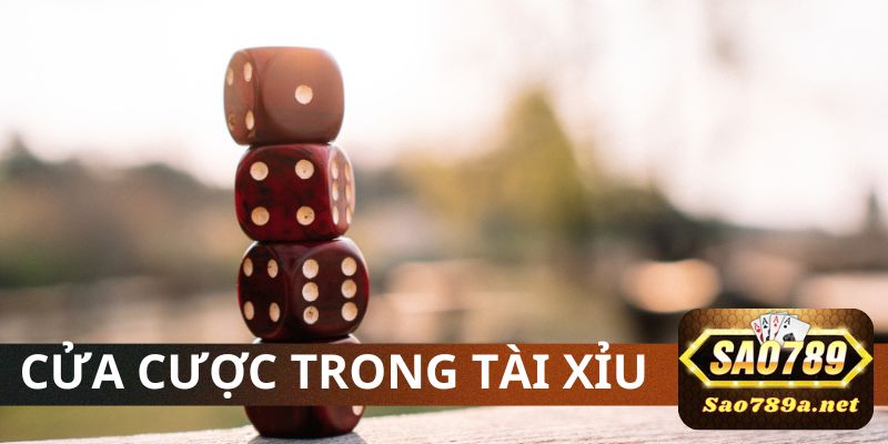 Tìm hiểu về cửa cược Tài Xỉu Sao 789