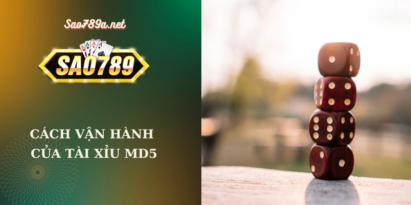 Nắm rõ cách vận hành của Tài Xỉu MD5