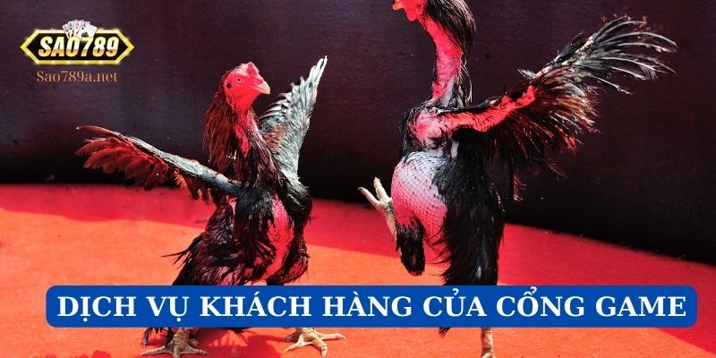 Dịch vụ khách hàng của cổng game tối ưu