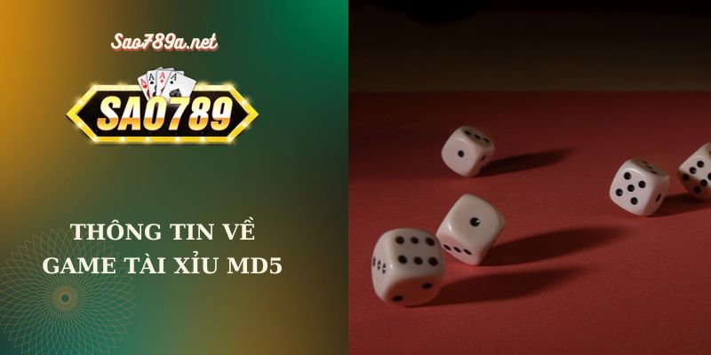 Thông tin về game Tài Xỉu MD5