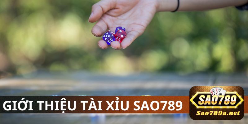 Giới thiệu về game Tài Xỉu