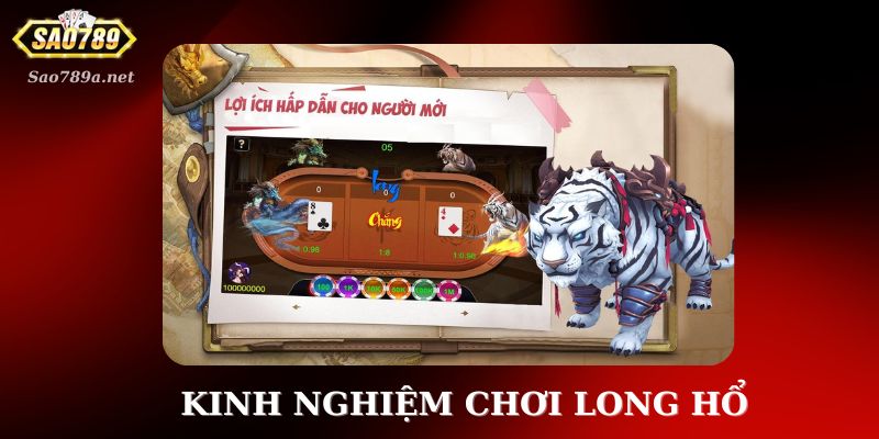 Kinh nghiệm đặt cược vào trò chơi