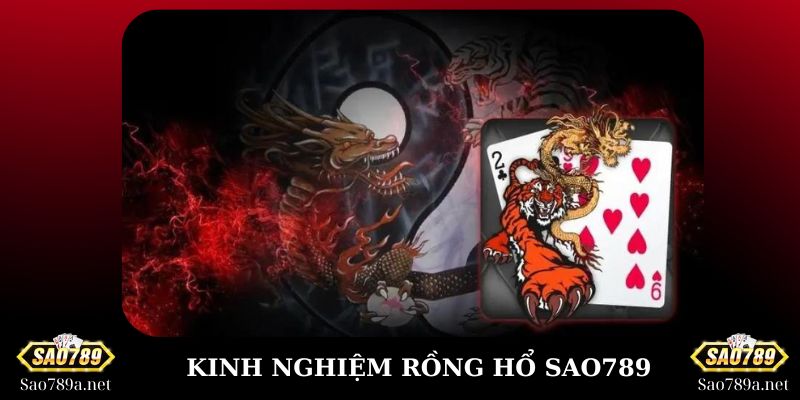 Kinh nghiệm cược Rồng Hổ Sao789