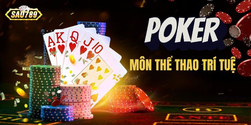 Poker - Môn Thể Thao Trí Tuệ Cần Được Hợp Pháp Hóa Tại Việt Nam