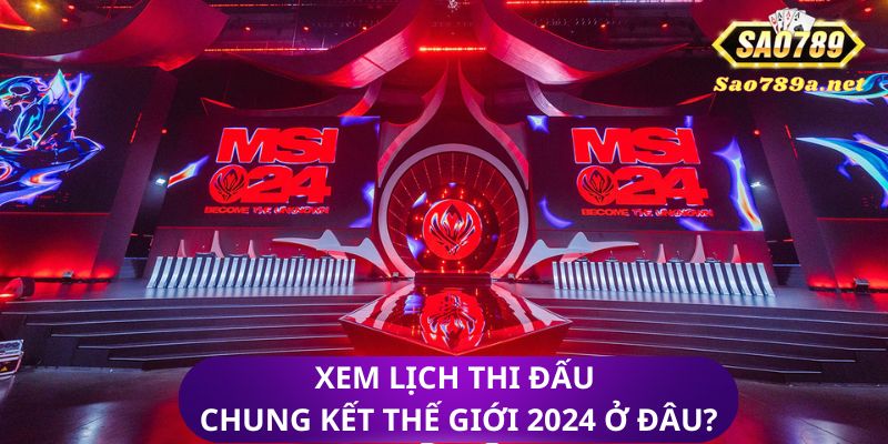 Địa điểm xem lịch thi đấu chung kết thế giới 2024