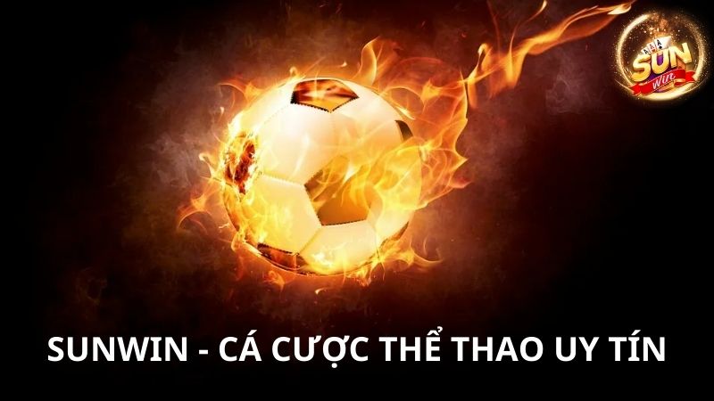 Nhà cái cá cược thể thao SunWin